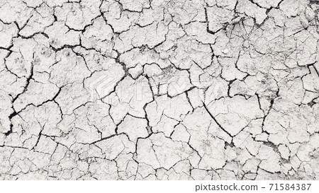 Dry mud cracked ground texture. Drought season background. Dry mud cracked ground texture. Drought season background. 71584387