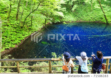 Aoike in Fukaura and three female tourists in Fukaura Town, Aomori Prefecture 71586163