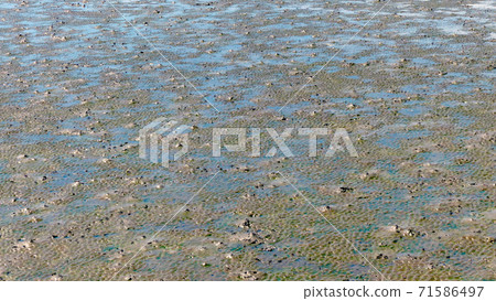 Puddle and mud texture, abstract background Puddle and mud texture, abstract background 71586497