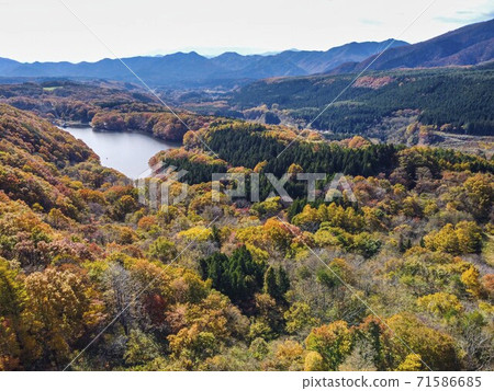 Scenery of Choro Lake after the rain Drone photography Autumn leaves Shichikashuku Town, Miyagi Prefecture Scenery of Choro Lake after the rain Drone photography Autumn leaves Shichikashuku Town, Miyagi Prefecture 71586685