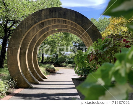 [Yokohama] Yamashita Park in fine weather and its surroundings [No people] 71587091