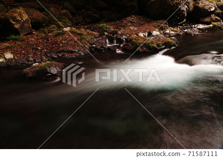 Kikuchi Gorge in autumn colored with autumn leaves Kikuchi Gorge in autumn colored with autumn leaves 71587111