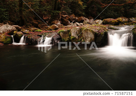 Kikuchi Gorge in autumn colored with autumn leaves Kikuchi Gorge in autumn colored with autumn leaves 71587151