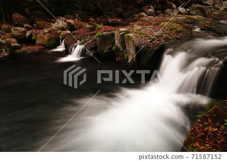Kikuchi Gorge in autumn colored with autumn leaves Kikuchi Gorge in autumn colored with autumn leaves 71587152