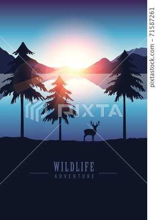 wildlife adventure elk in the wilderness by the lake at sunset wildlife adventure elk in the wilderness by the lake at sunset 71587261
