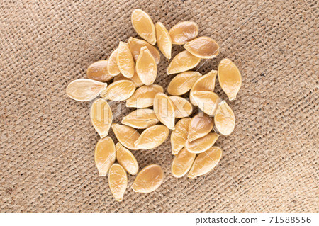 Pumpkin seed on linen 71588556