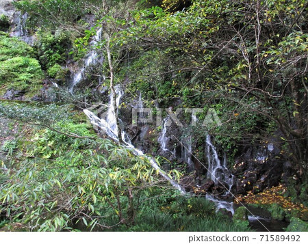 Tamatare Falls in Takachiho Gorge that springs from the cliffs of columnar joints Tamatare Falls in Takachiho Gorge that springs from the cliffs of columnar joints 71589492