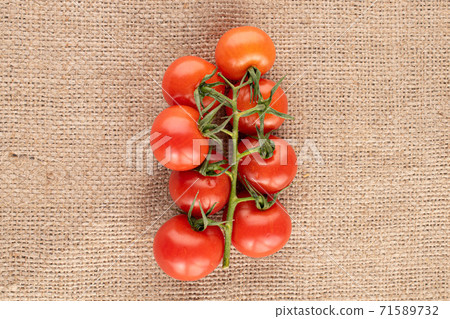 Cherry tomato on jute 71589732
