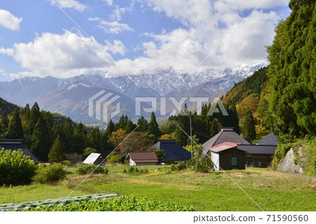 [Hakuba Village, Nagano Prefecture] Autumn in the blue demon village 71590560