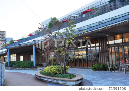 藤澤市城市景觀露台購物中心湘南2F室外露台 71591508