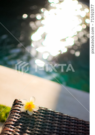 巴厘島池畔 71592077