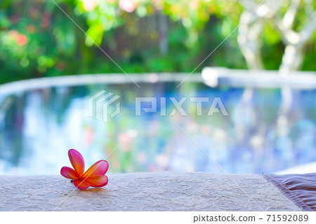 Poolside with plumeria 71592089