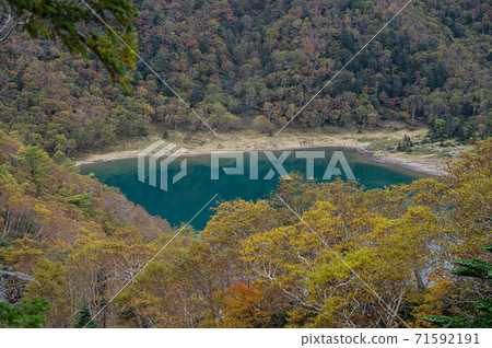 Nikko Shirane vol. 71592191