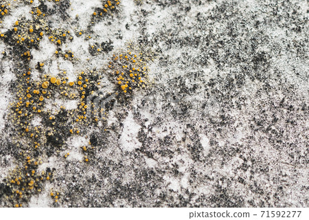 Concrete wall Yokohama 71592277