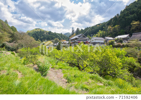 [Osaka] Countryside scenery during the new recording period 71592406