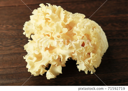 繡球菌 繡球菌 71592719