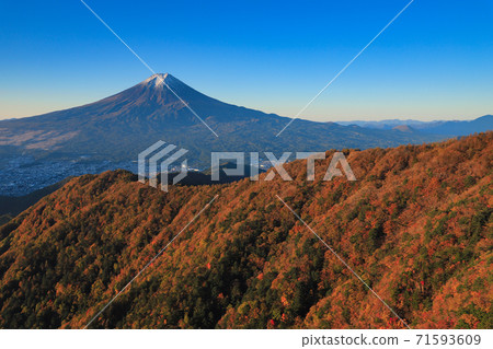 Autumn leaves dyed red Mt. Fuji seen from Mitsutoge 71593609