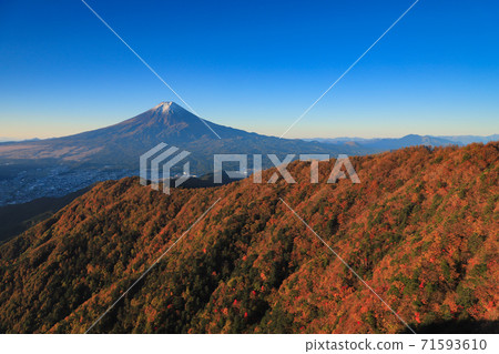 Autumn leaves dyed red Mt. Fuji seen from Mitsutoge 71593610
