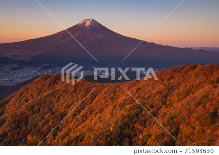 Autumn leaves dyed red Mt. Fuji seen from Mitsutoge 71593630