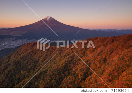 從Mitsutoge看到秋天的葉子染成紅色的富士山 71593634