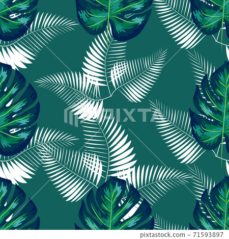 Green pattern with monstera palm leaves on dark background. Seamless summer tropical fabric design. Green pattern with monstera palm leaves on dark background. Seamless summer tropical fabric design. 71593897