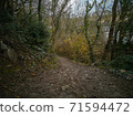 Autumn leaves falling from the trees along the Gower Coastal Path near Caswell Bay in Wales. A small woodland along the coast. 71594472