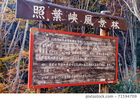 Autumn leaves in Oirase Gorge, Minakami Town, Gunma Prefecture Autumn leaves in Oirase Gorge, Minakami Town, Gunma Prefecture 71594709