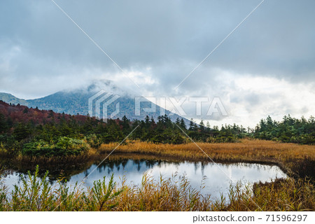 A landscape of a pond with beautiful reflections of cloudy mountains and autumn leaves 71596297