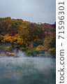 A foggy swamp landscape in the autumn colors 71596301