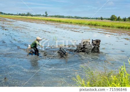 Tractor in field thailand 71596846