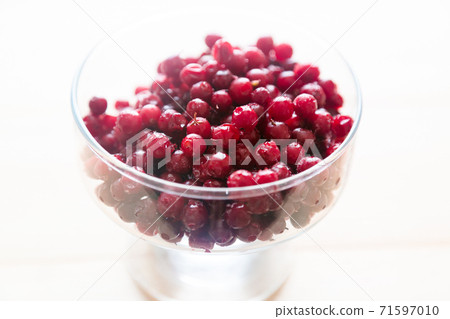 Berries of currants, lingonberries, cranberries with frost and ice Berries of currants, lingonberries, cranberries with frost and ice 71597010