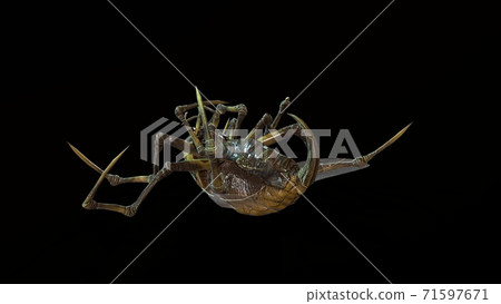 the evil bug 3d render 71597671