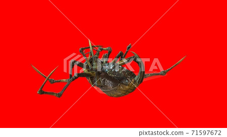 the evil bug 3d render 71597672