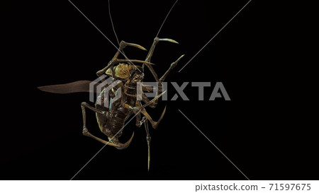 the evil bug 3d render the evil bug 3d render 71597675