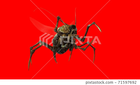 the evil bug 3d render 71597692