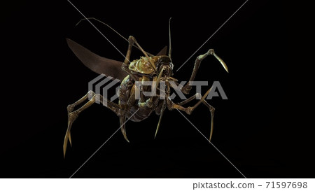 the evil bug 3d render 71597698
