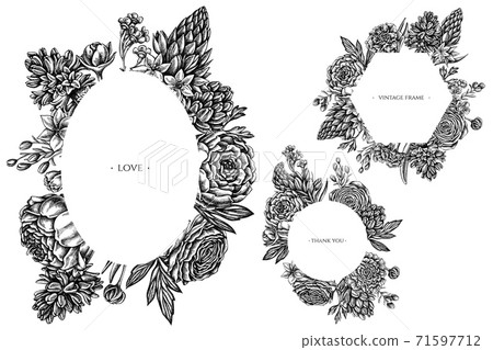 Floral frames with black and white peony, carnation, ranunculus, wax flower, ornithogalum, hyacinth 71597712