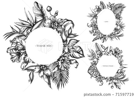 Floral frames with black and white monstera, banana palm leaves, strelitzia, heliconia, tropical 71597719