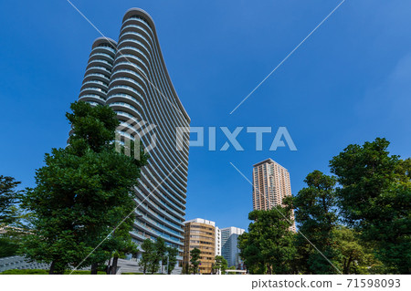 青山二丁目公園法院青山塔和城市景觀 青山二丁目公園法院青山塔和城市景觀 71598093