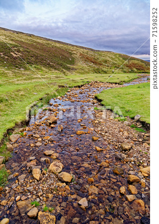 Fore Gill Gate - North Yorkshire - England 71598252