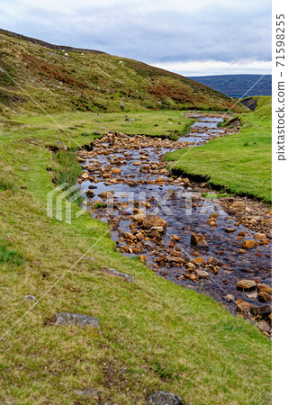 Fore Gill Gate - North Yorkshire - England 71598255