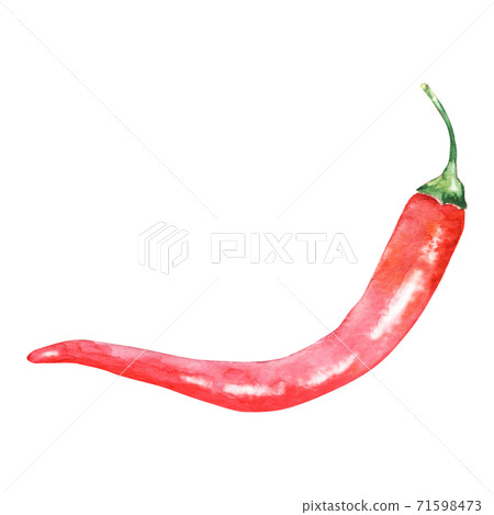 Watercolor hot red pepper 71598473
