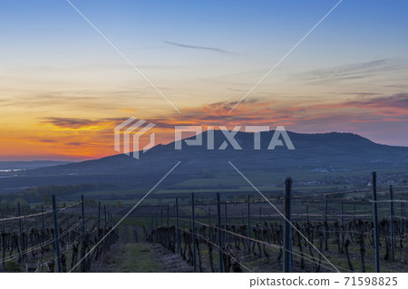 Sunrise in Palava with Devicky ruins, Southern Moravia, Czech Republic Sunrise in Palava with Devicky ruins, Southern Moravia, Czech Republic 71598825
