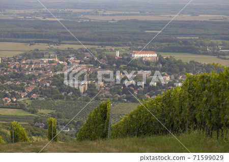 Siklos castle in Villany region with vineyards, Southern Hungary 71599029