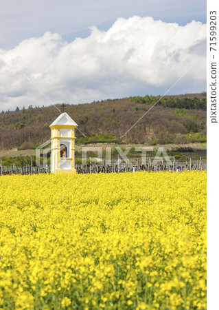 Gods torture near Retz, Austria Gods torture near Retz, Austria 71599203