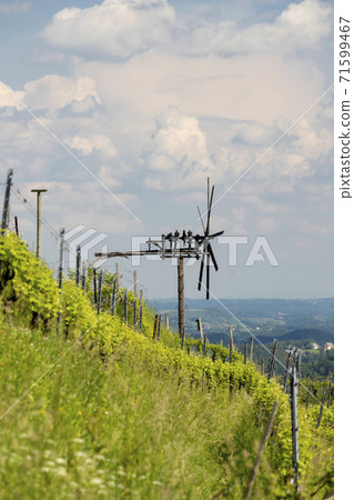vineyard with windmill called klapotetz in south of Styria, Austria vineyard with windmill called klapotetz in south of Styria, Austria 71599467