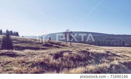 Mountain meadow at sunrise, color toned picture. 71600186