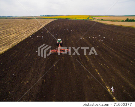Harvesting in the field. Aerial view. Land cultivation with a tractor 71600377