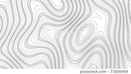 Abstract black and white topographic contours lines 71600909