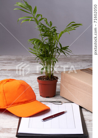 Courier's cap, parcel and clipboard with paper. 71602050